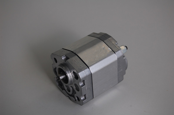 Pompe a ingranaggi idrauliche industriali di Marzocchi BHP2B0-D-12 per 500 - 3000 r/min