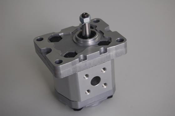 Piccole pompe a ingranaggi idrauliche Rexroth/di Marzocchi BHP2B0-D-18