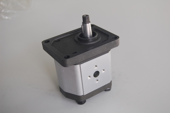 Rexroth piccolo industriale 2B0 idrauliche pompe ad ingranaggi con profondità del filetto M6 13